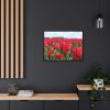 88286-9.jpg Red Tulip Field Framed Canvas