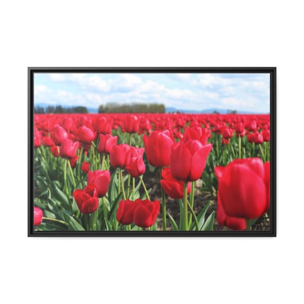 88287-5.jpg Red Tulip Field Framed Canvas