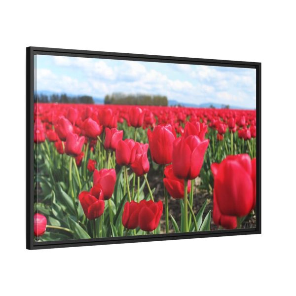 88287-6.jpg Red Tulip Field Framed Canvas