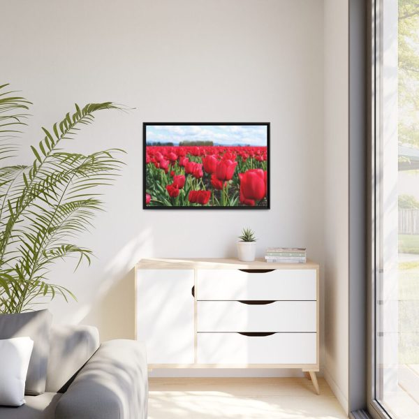 88287-8.jpg Red Tulip Field Framed Canvas