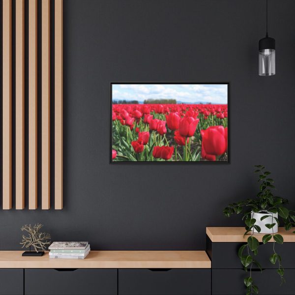 88287-9.jpg Red Tulip Field Framed Canvas