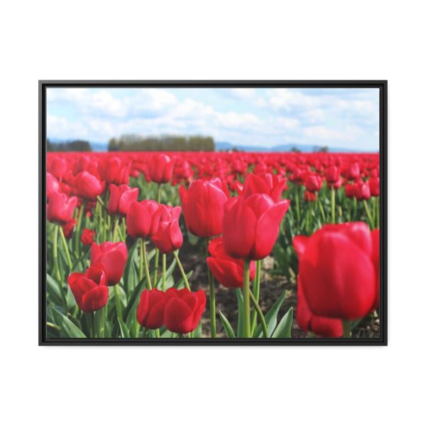 88288-5.jpg Red Tulip Field Framed Canvas