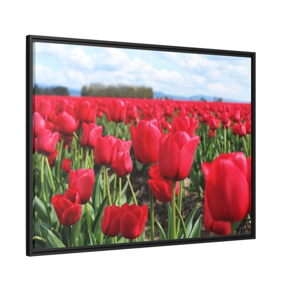 88288-6.jpg Red Tulip Field Framed Canvas