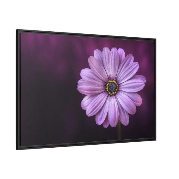 88289-190.jpg Purple Daisy Flower Framed Canvas
