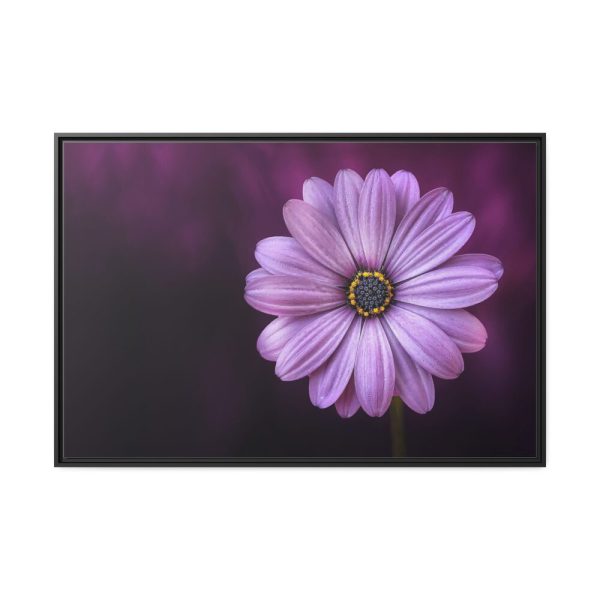 88289-191.jpg Purple Daisy Flower Framed Canvas
