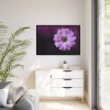 88289-193.jpg Purple Daisy Flower Framed Canvas