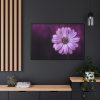88289-194.jpg Purple Daisy Flower Framed Canvas