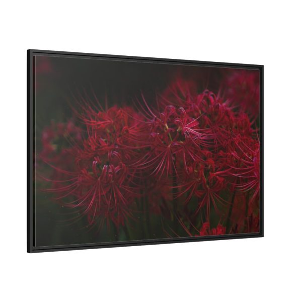 88289-205.jpg Red Spider Lilies Framed Canvas