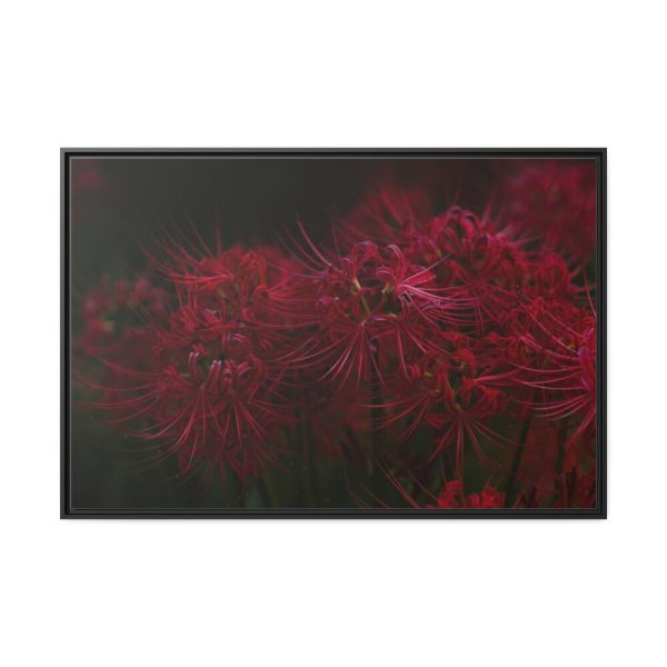 88289-206.jpg Red Spider Lilies Framed Canvas
