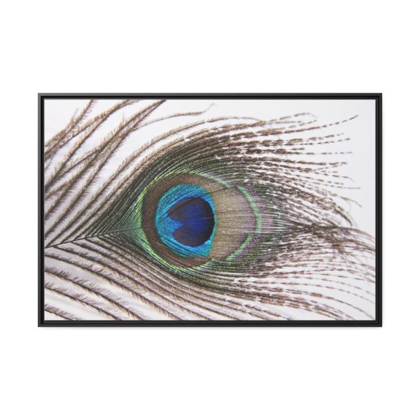 88289-226.jpg Peacock Feather Framed Canvas