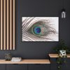 88289-229.jpg Peacock Feather Framed Canvas