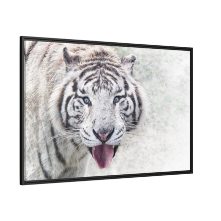 White Bengal Tiger Framed Canvas