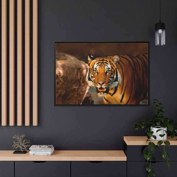 88289-244.jpg Tiger Roaring Framed Canvas