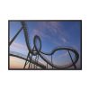 88289-331.jpg Roller Coaster Framed Canvas