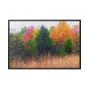 88289-341.jpg Autumn Landscape Framed Canvas