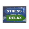 88289-36.jpg Stress Relax Voltage Framed Canvas