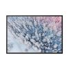 88289-436.jpg Winter Frozen Fir Tree Aerial View Framed Canvas