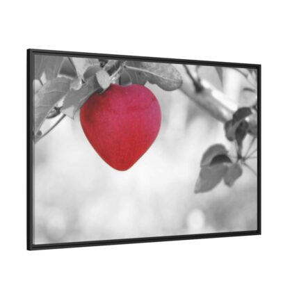Red Apple in the Black and White Framed Canvas