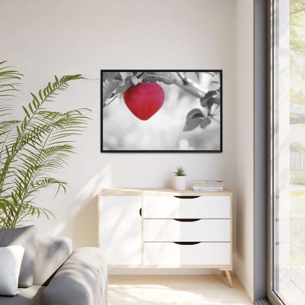 88289-493.jpg Red Apple in the Black and White Framed Canvas