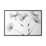 Dandelion Flower Framed Canvas - Image 2