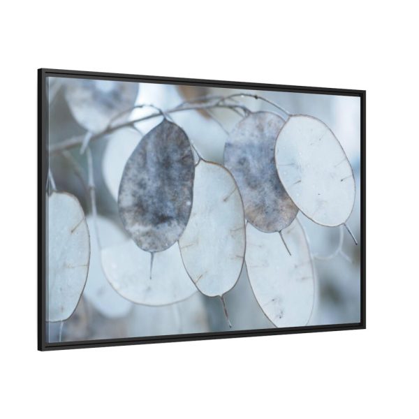 88289-556.jpg Leaves Covered in Ice Crystals Framed Canvas