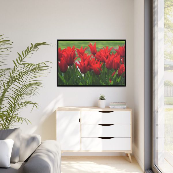 88289-583.jpg Vibrant Red Tulips Bloom in a Field Framed Canvas