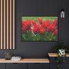 88289-584.jpg Vibrant Red Tulips Bloom in a Field Framed Canvas