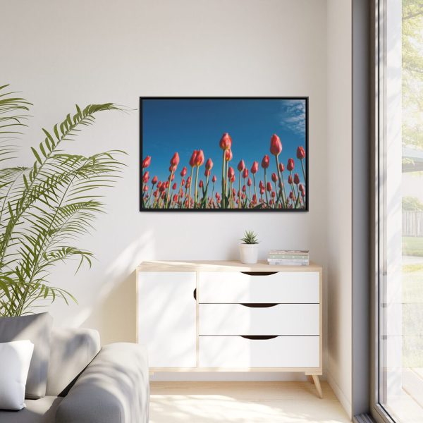 A Low-Angle Shot of a Field of Red Tulips Framed Canvas