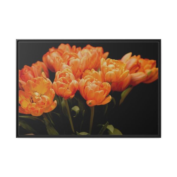 88289-611.jpg A Bouquet of Bright Orange Tulips Framed Canvas