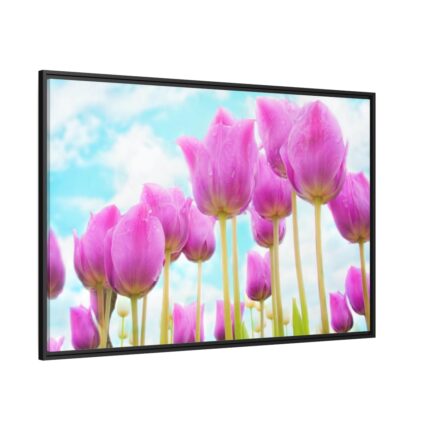 Pink Tulip Framed Canvas