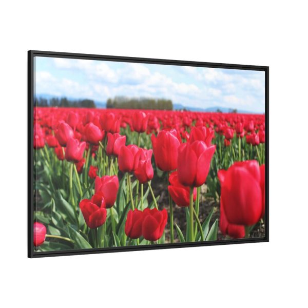 88289-655.jpg Red Tulip Field Framed Canvas