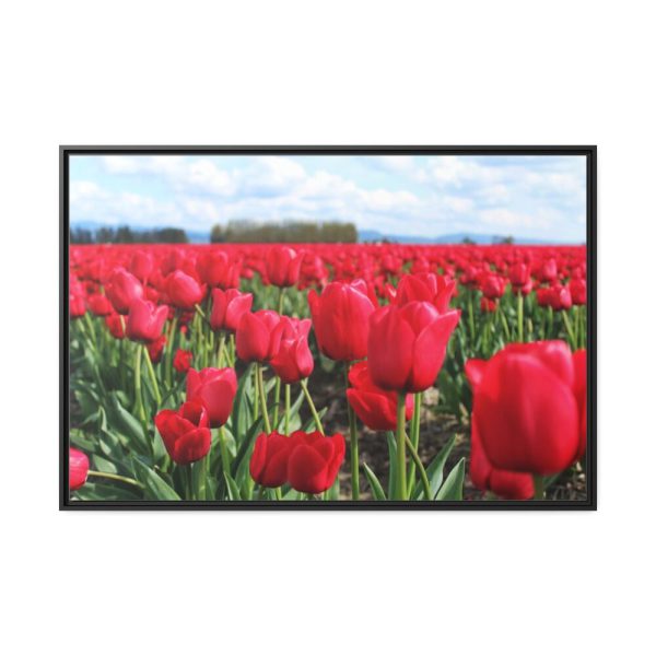 88289-656.jpg Red Tulip Field Framed Canvas