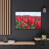 88289-659.jpg Red Tulip Field Framed Canvas
