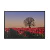88289-661.jpg Tulips Field Framed Canvas