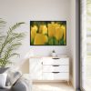 88289-673.jpg Yellow Tulips Blooming in the Field Framed Canvas