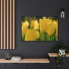 88289-674.jpg Yellow Tulips Blooming in the Field Framed Canvas