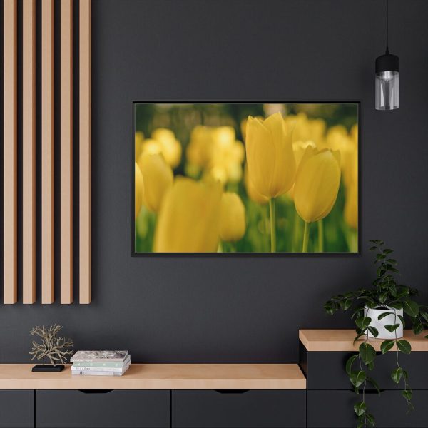 88289-674.jpg Yellow Tulips Blooming in the Field Framed Canvas