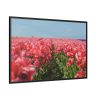 88289-675.jpg Pink Tulip Field Framed Canvas