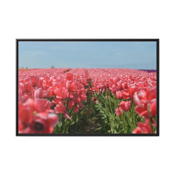 88289-676.jpg Pink Tulip Field Framed Canvas