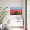 88289-678.jpg Pink Tulip Field Framed Canvas