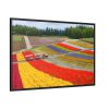 88289-680.jpg Colorful Tulip Field Framed Canvas