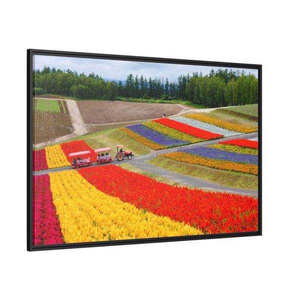 88289-680.jpg Colorful Tulip Field Framed Canvas