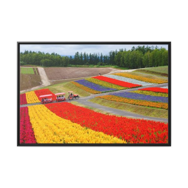 88289-681.jpg Colorful Tulip Field Framed Canvas