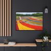 88289-684.jpg Colorful Tulip Field Framed Canvas