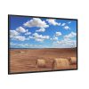 88289-744.jpg Agriculture Harvest Corn Framed Canvas