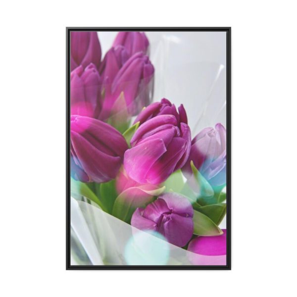 88299-166.jpg Purple Tulip Framed Canvas