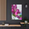 88299-169.jpg Purple Tulip Framed Canvas