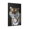 88299-50.jpg Cute Siberian Tiger Framed Canvas