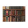 91638-136.jpg Antique Books in a Library Standard Canvas