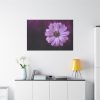 91638-192.jpg Purple Daisy Flower Standard Canvas